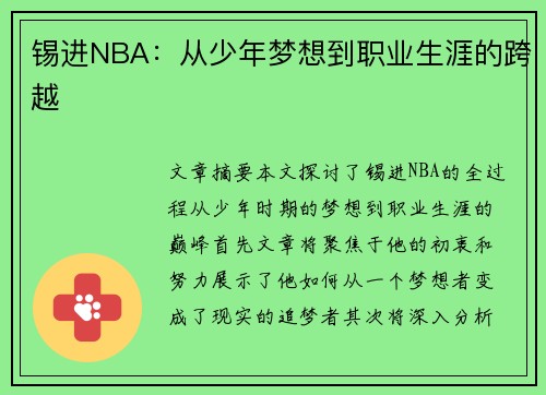 锡进NBA：从少年梦想到职业生涯的跨越